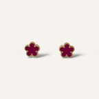BOUCLES D'OREILLES CASSIS