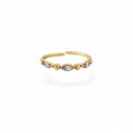 BAGUE ANIA