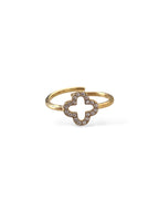 BAGUE JINA