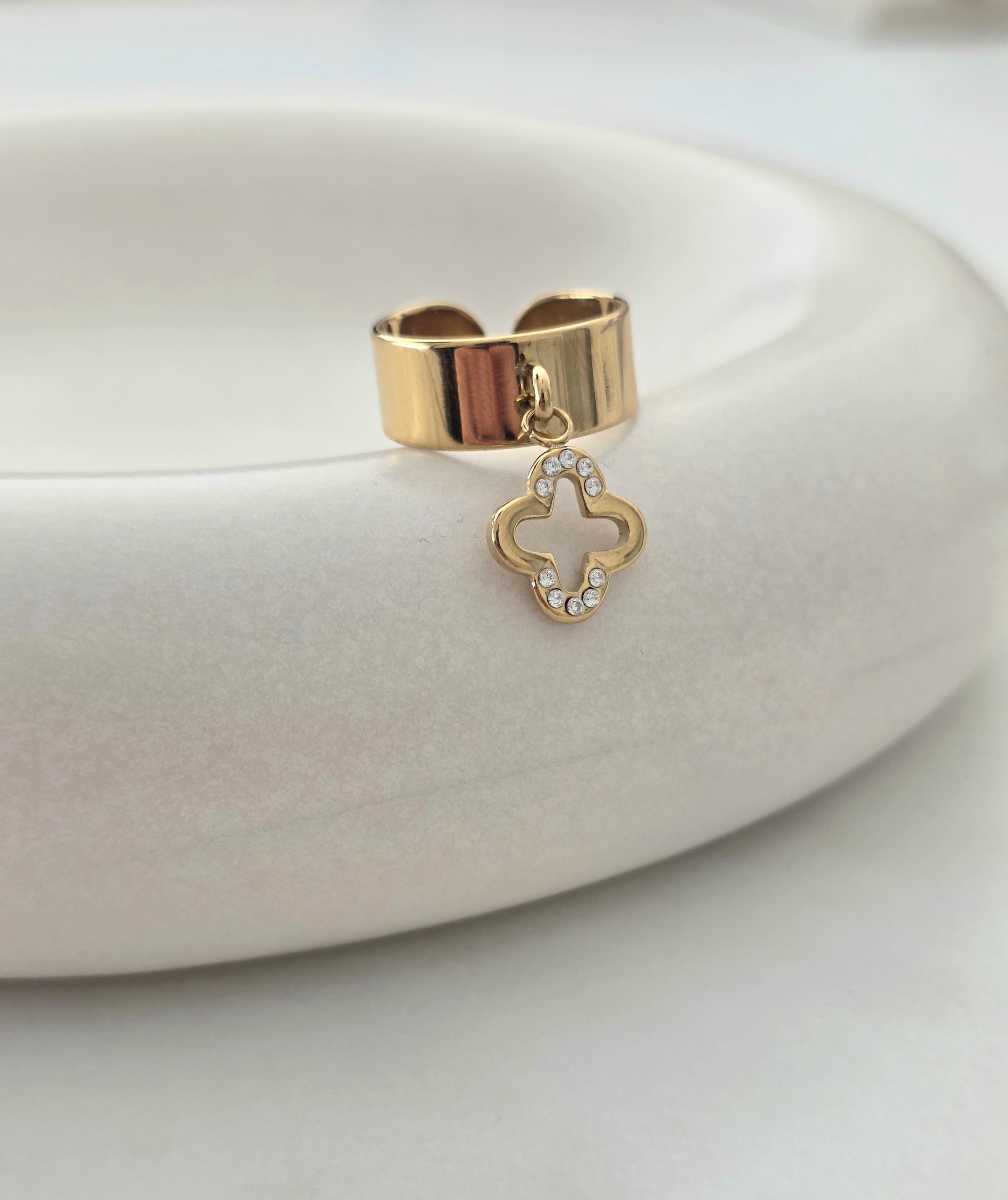 Alice • Bague en acier inoxydable