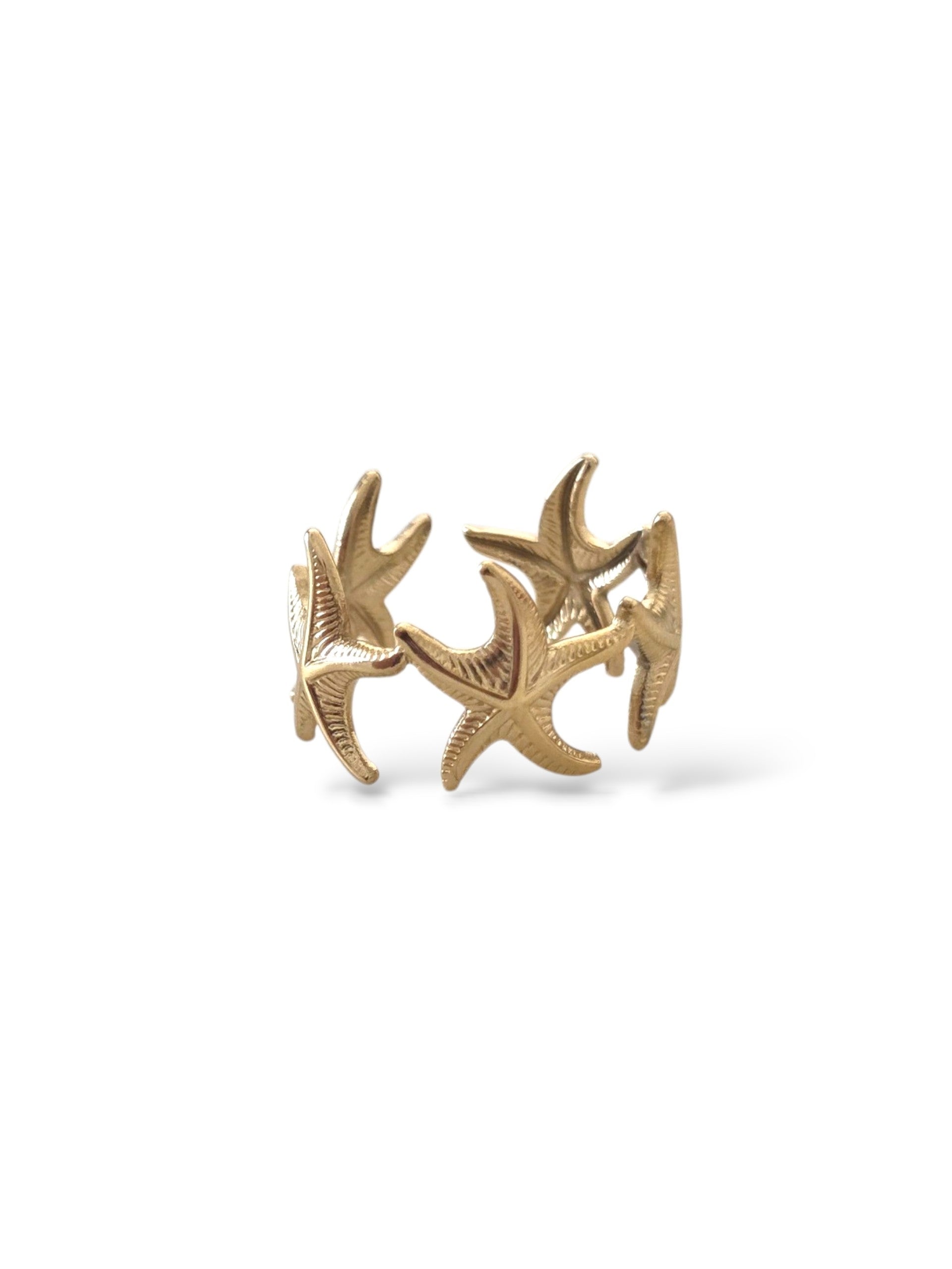 Naïda • Bague en acier inoxydable