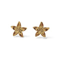 Floréa • Boucles d'oreilles en acier inoxydable