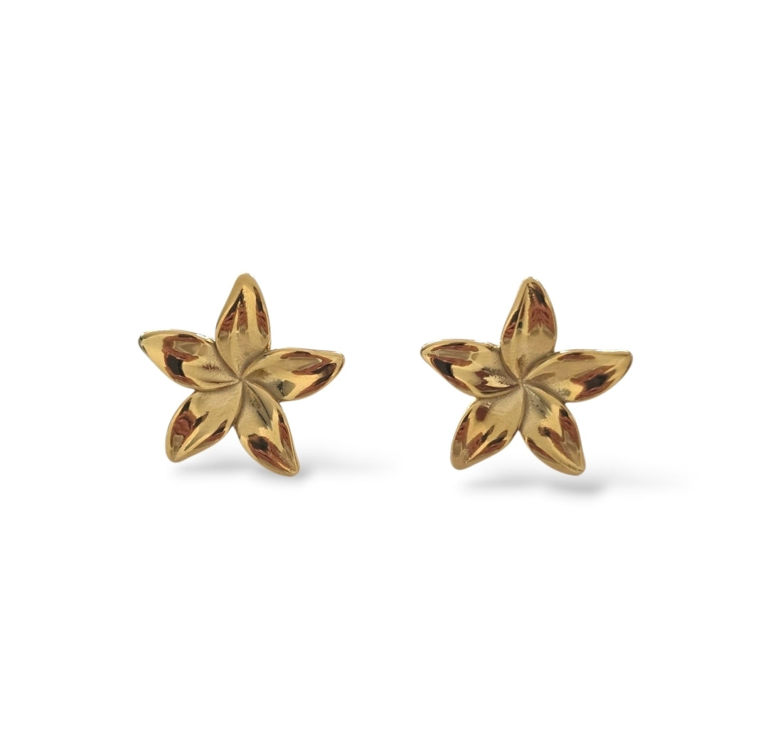 Floréa • Boucles d'oreilles en acier inoxydable