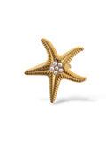 Ariel • Bague en acier inoxydable