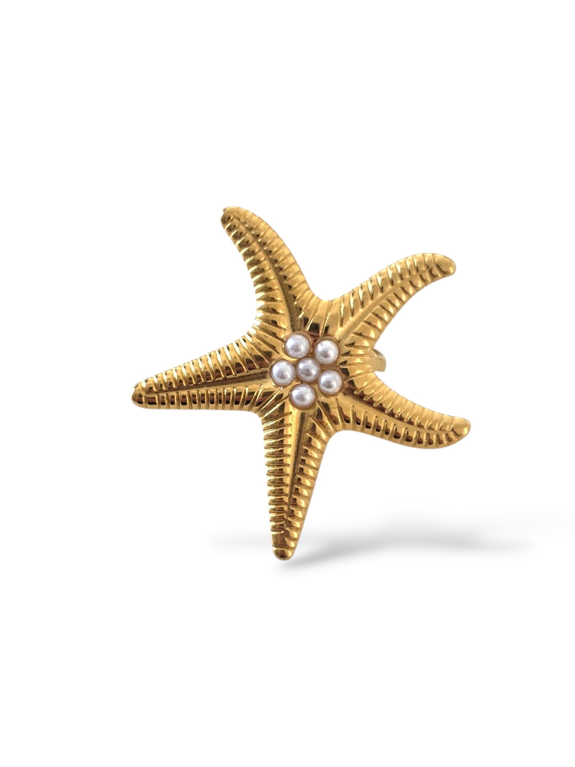 Ariel • Bague en acier inoxydable
