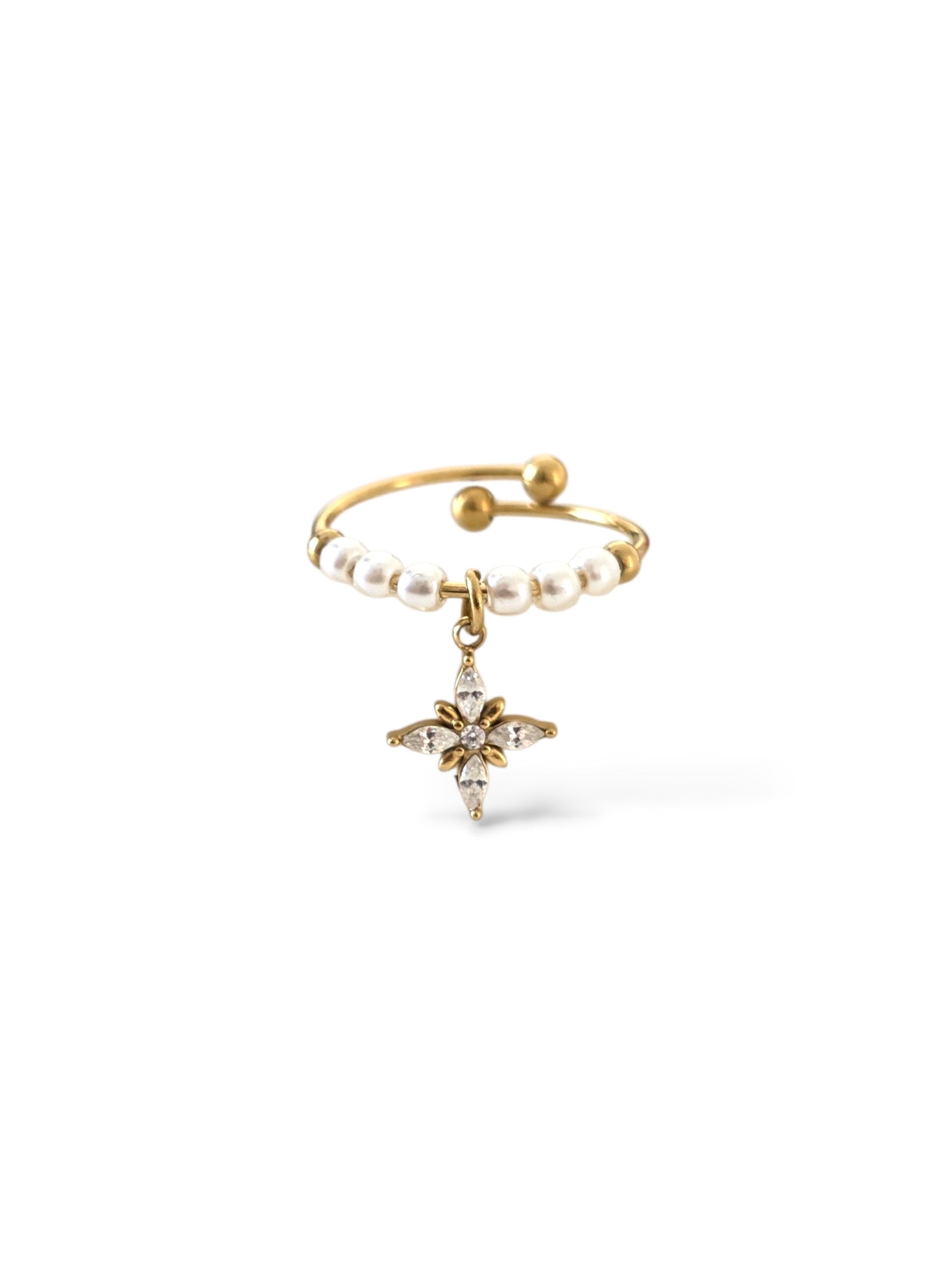 Laly • Bague en acier inoxydable