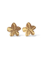 BOUCLES D'OREILLES AMALIA