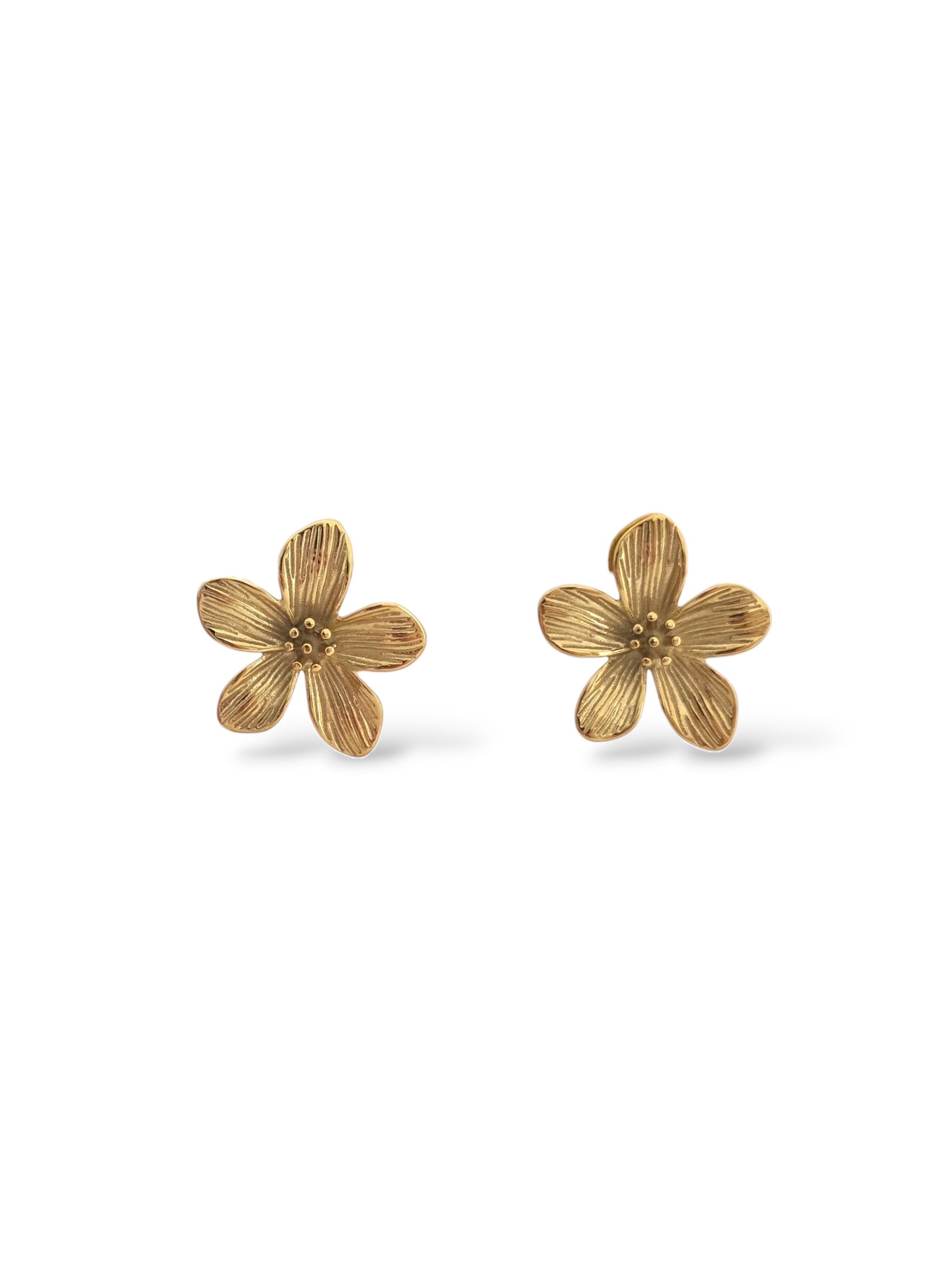 Myla • Boucles d'oreilles en acier inoxydable