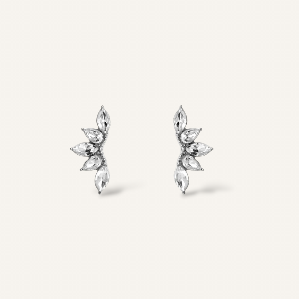 Marina • Boucles d'oreilles en acier inoxydable et zircons