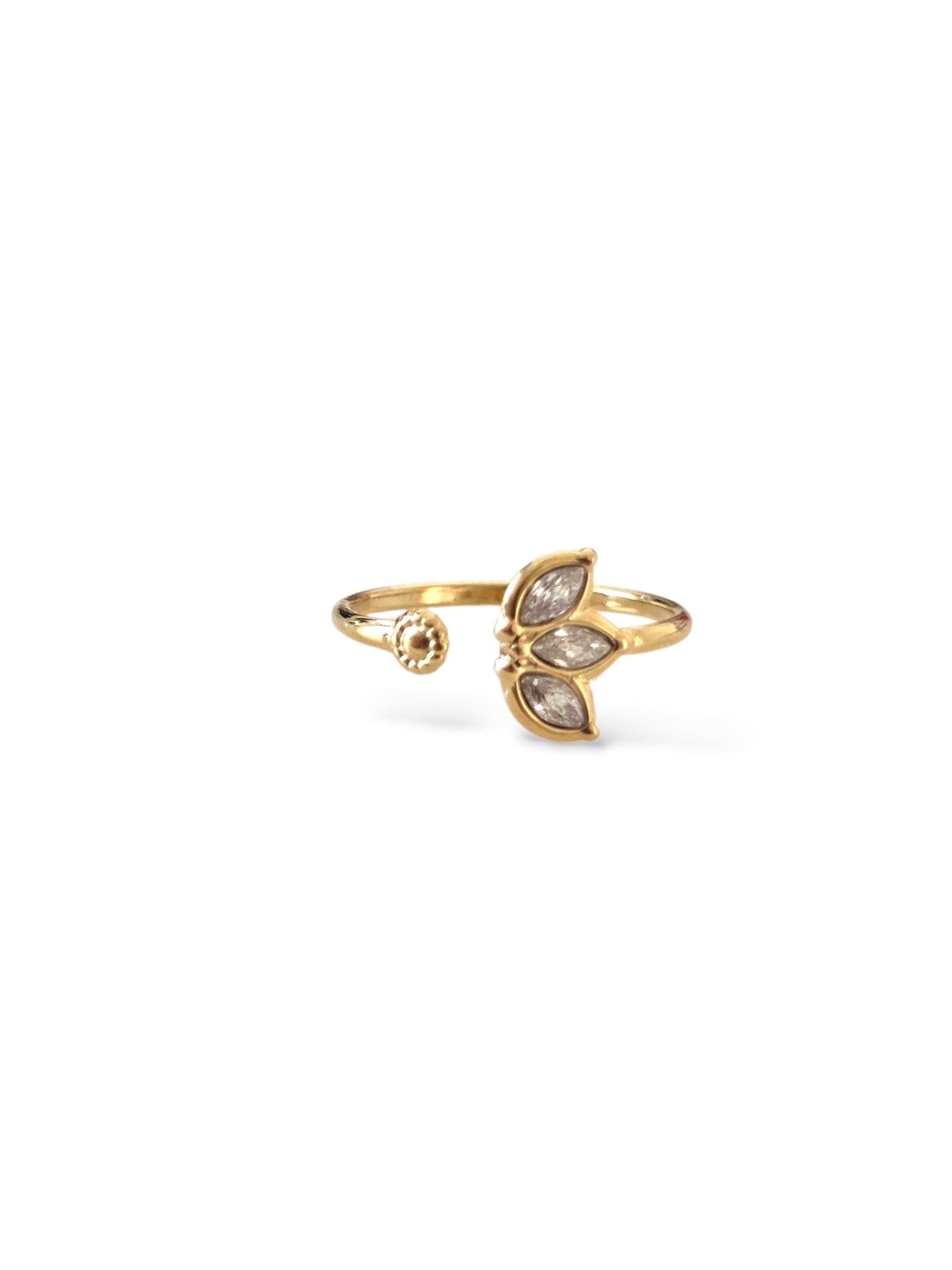 Charlotte • Bague en acier inoxydable