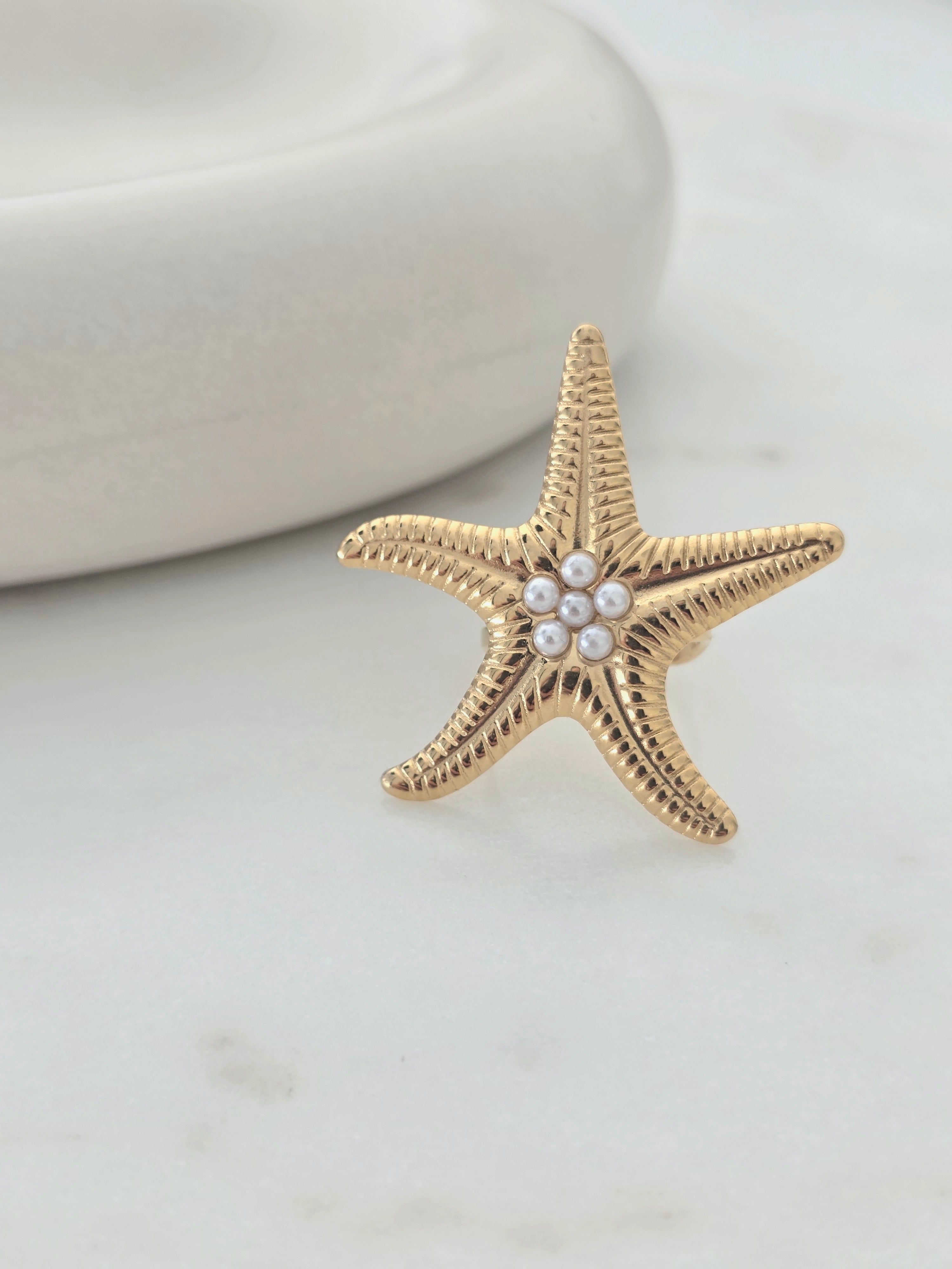 Ariel • Bague en acier inoxydable